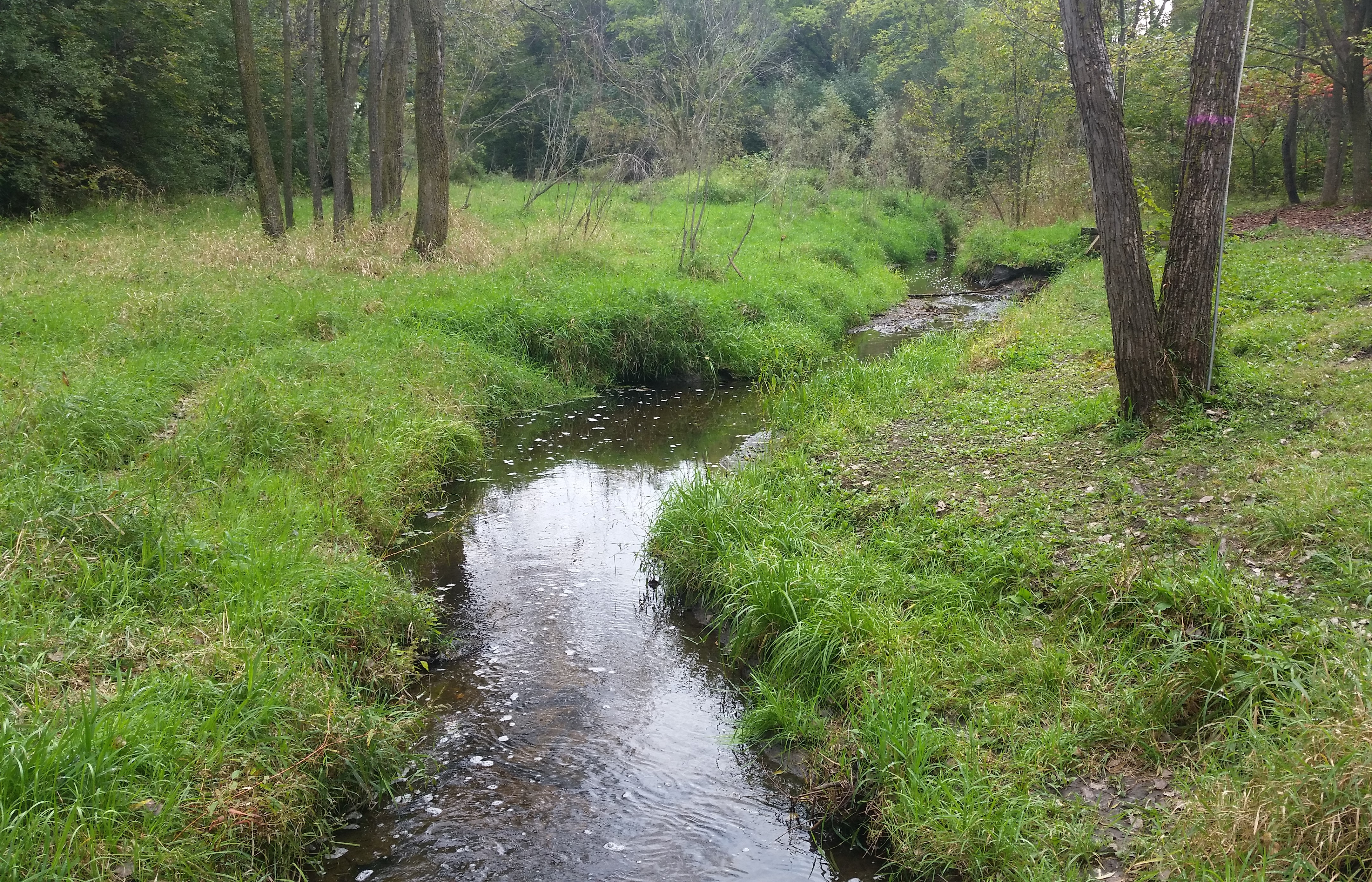 PlymouthCreek-BassettCreekWatershed.jpg