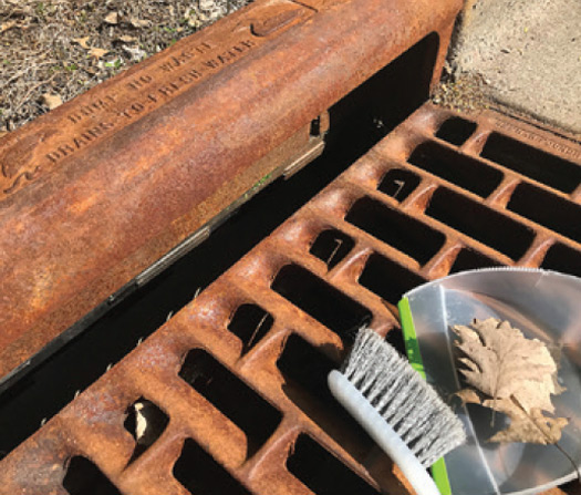 Adopt a drain