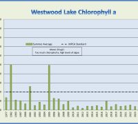Westwood chla 2025